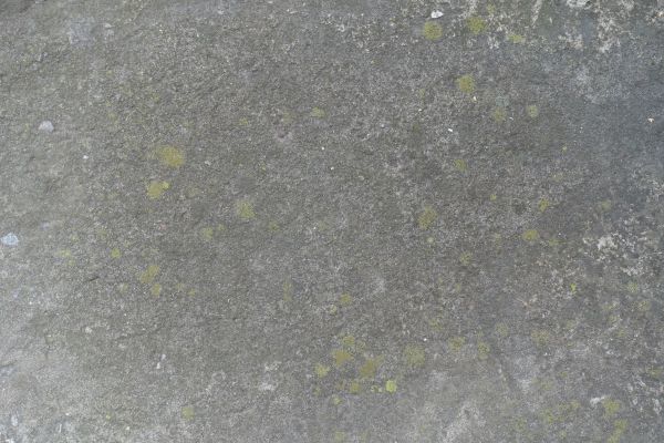 Slab Staining Service in Temple